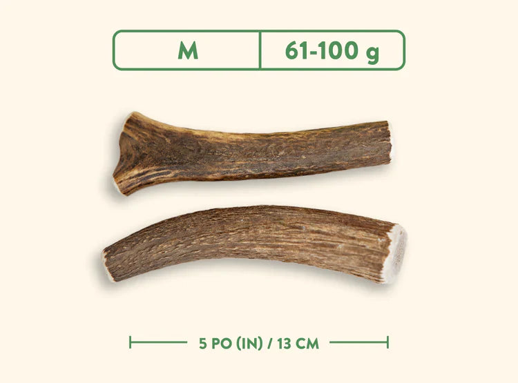 Dentler - Natural Wild Taste (Whole)